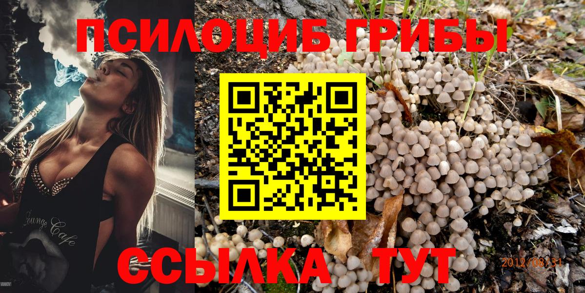Псилоцибиновые грибы прущие грибы Вязьма
