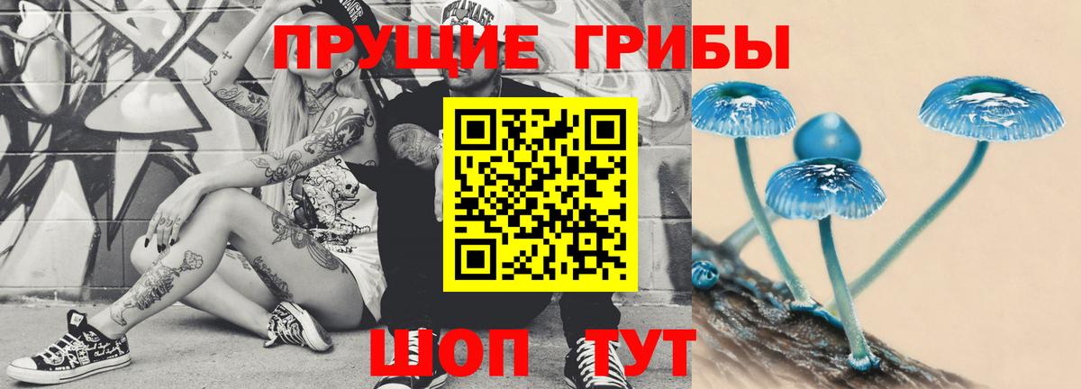 продажа наркотиков  Галлюциногенные грибы Magic Shrooms  Вход с VPN  Вязьма  Псилоцибиновые грибы мицелий 
